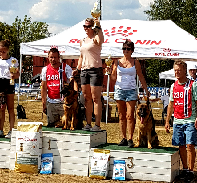Norsk Vinner Utstilling på Maura 19.07.18 Romi's Xexxi  ML nr.3 og pallplass i 6-9 mnd. tispe. Dommer: Svein Egil Vagle