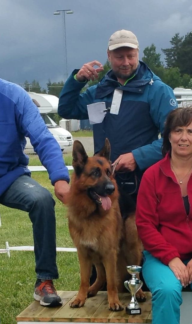 NSchK avd. Romerike utstilling 17.06.18 Dommer: Svein Egil Vagle
Brukshundklasse V2  Burrymos Frisco