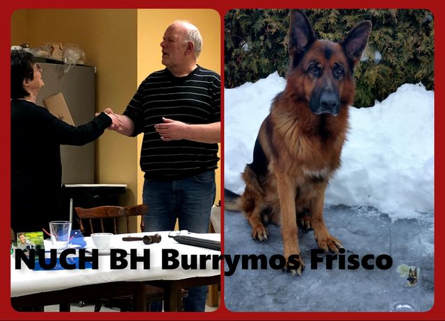Hovedstyrets ærespris for NSchK avd. Oslo's beste utstillingshund i 2018 !