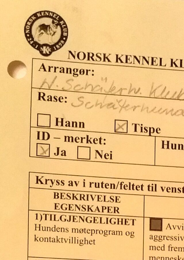 Bra jobba👍