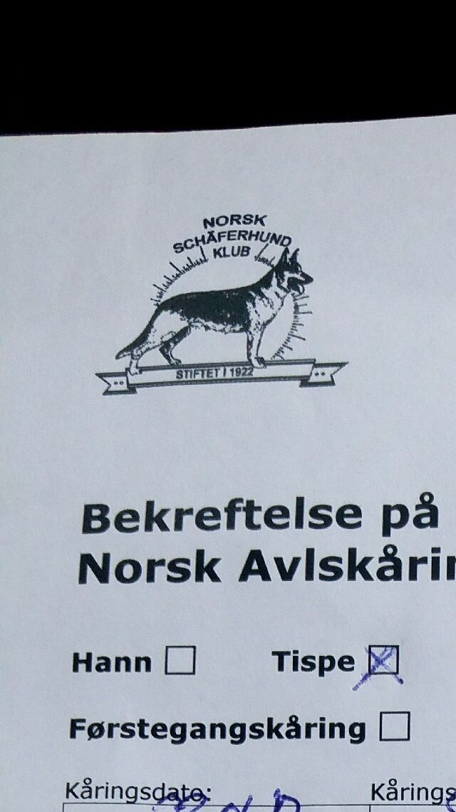 Avlsgodkjent!