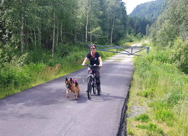 Romi's Xexxi koser seg med trav og kondis trening! 
