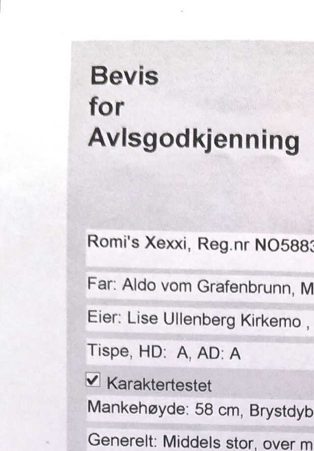 Avlsgodkjenning beviset