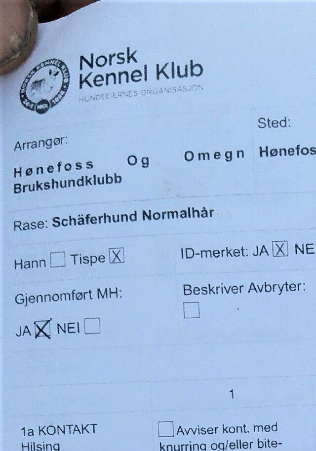 MH beskriver protokoll s. 1 Romi's Xexxi