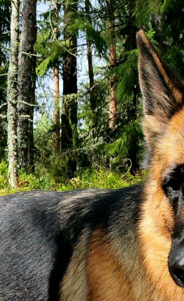 Romi's Xexxi høsten 2019