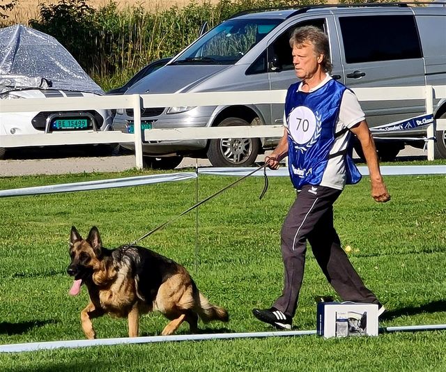 Fra utstilling NSchK avd. Hedmark 15. august 2020